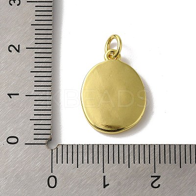 Brass Enamel Pendants KK-H487-16G-1