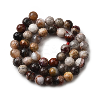 Natural Mexico Crazy Agate Beads Strands X-G-L615-A01-01-1