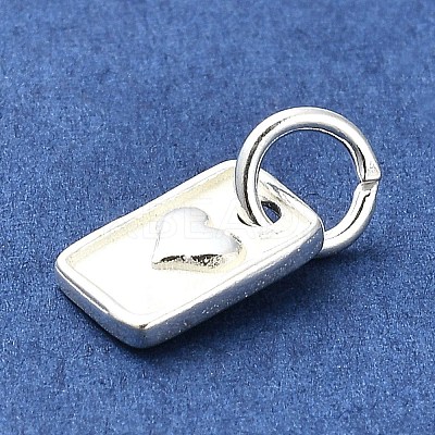 Sterling Silver Charms STER-E070-03D-1