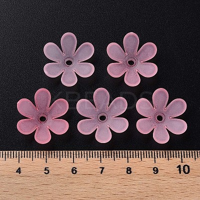 Transparent Acrylic Beads LS-MACR-S373-107-D05-1