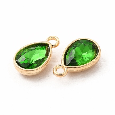 Faceted Glass Rhinestone Pendants GLAA-I051-A08-1