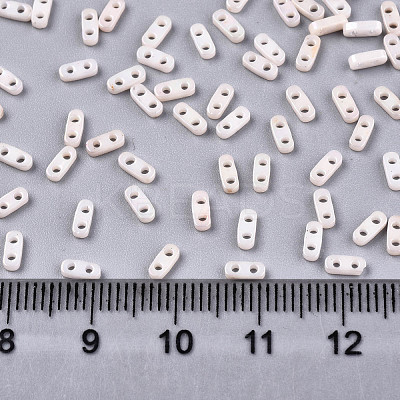 FGB 2-Hole Glass Seed Beads SEED-S031-S-SQ1204R-1