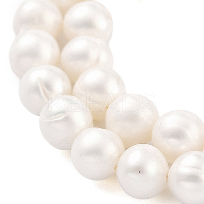 Natural Cultured Freshwater Pearl Beads Strands PEAR-C003-13C-1