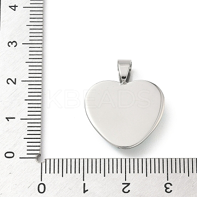 304 Stainless Steel Pendants STAS-D207-26P-1