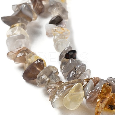 Natural Botswana Agate Beads Strands G-E607-A10-1