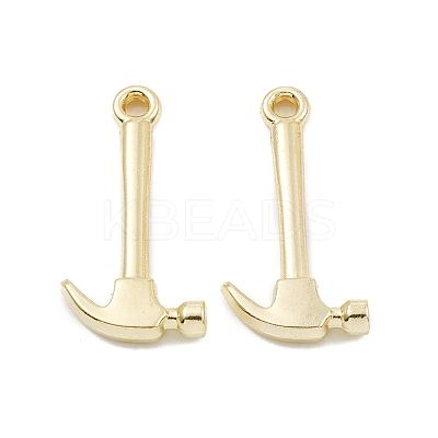 Alloy Pendants PALLOY-K003-10LG-1
