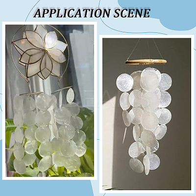 60Pcs Flat Round Capiz Shell Pendants SSHEL-SC0001-48-1