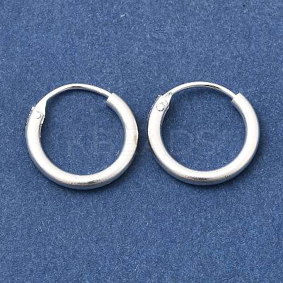 Brass Hoop Earrings EJEW-G474-01S-01-1