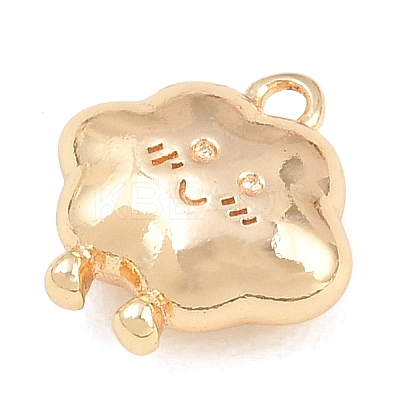 304 Stainless Steel Charms SA-CBA4377-02C-G-1