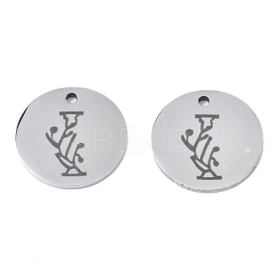 Non-Tarnish 304 Stainless Steel Charms LS-STAS-T059-26P-I-1