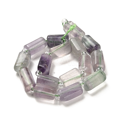 Natural Fluorite Beads Strands G-N327-06-20-1