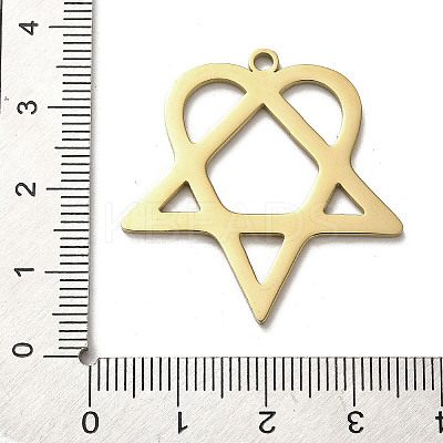 304 Stainless Steel Pendants STAS-B054-07G-1