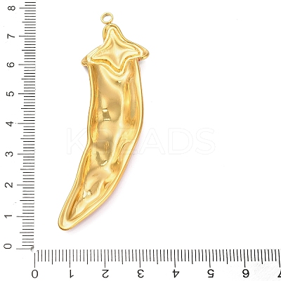 304 Stainless Steel Big Pendants LS-STAS-C147-12G-1
