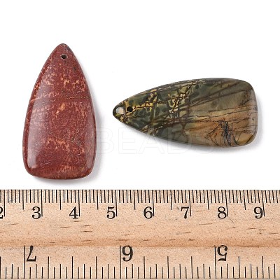 Natural Polychrome Jasper/Picasso Stone/Picasso Jasper Pendants G-Z095-02-1