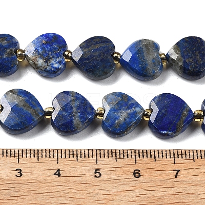 Natural Lapis Lazuli Beads Strands G-B044-B19-01-1
