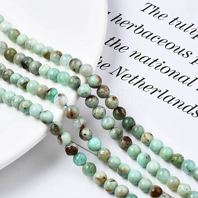 Natural Chrysoprase Beads Strands G-S333-6mm-016-1