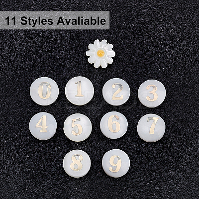 22Pcs 10 Style Natural Freshwater Shell Beads SHEL-AR0001-04-1