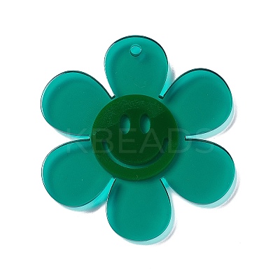 Transparent Acrylic Big Pendants OACR-P012-A05-1