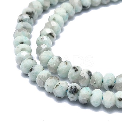 Natural Sesame Jasper Beads Strands G-F715-094-1