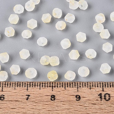 Frosted Glass Seed Beads SEED-N012-01F-1