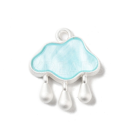 Baking Paint Zinc Alloy with Resin Pendant FIND-Z038-01C-1