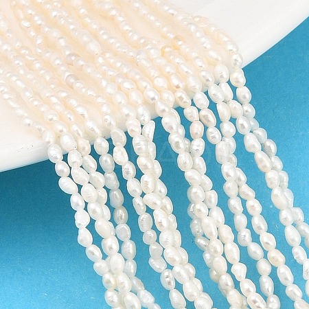 Natural Cultured Freshwater Pearl Beads Strands PEAR-D003-01D-02-1