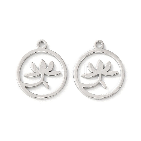 304 Stainless Steel Charms LS-STAS-D202-05P-1