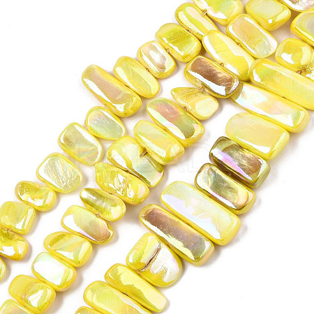 Natural Freshwater Shell Beads Strands X-SHEL-N026-123A-1