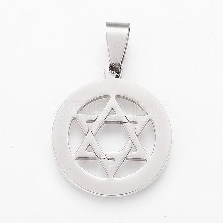 Tarnish Resistant 304 Stainless Steel Pendants STAS-F106-23P-1