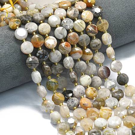 Natural Bamboo Leaf Agate Beads Strands G-C116-A91-01-1