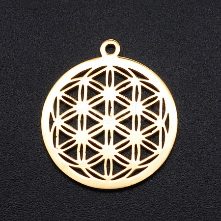 304 Stainless Steel Sacred Geometry Pendants STAS-S105-JN899-2-1