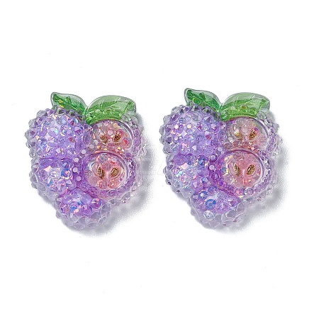 Fruit Transparent Epoxy Resin Decoden Cabochons CRES-I030-23E-1