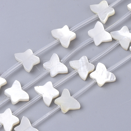 Natural White Shell Beads SSHEL-S264-069A-1