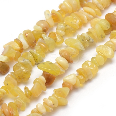 Natural Yellow Opal Beads Strands G-P332-36-1