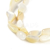 Natural Trochus Shell Beads Strands BSHE-H109-05-4