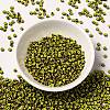 8/0 Opaque Colours Seep Glass Seed Beads SEED-F003-04B-04-2