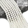 Eco-Friendly Dyed Glass Pearl Round Beads Strands HY-A008-6mm-RB001-2