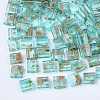 2-Hole Transparent Glass Seed Beads X-SEED-S023-30C-21-1