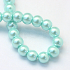 Baking Paint Pearlized Glass Pearl Round Bead Strands HY-Q003-10mm-45-4