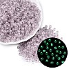 FGB Grade A Transparent Glass Seed Beads SEED-Q040-03A-04-1