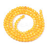 Natural Freshwater Shell Beads Strands X-BSHE-T009A-01I-2