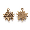 Tibetan Style Alloy Pendants LS-X-TIBEP-A113357-AB-FF-2