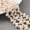 Natural Cultured Freshwater Pearl Beads Strands PEAR-A006-28C-X-1