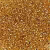 TOHO Round Seed Beads X-SEED-TR08-0753-2