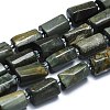 Natural Eagle Eye Stone Beads Strands G-K245-I01-A01-1
