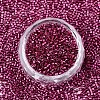 FGB 11/0 Grade A Glass Seed Beads X-SEED-S030-1211-3