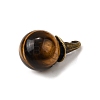 Natural Tiger Eye Round Pendants with Alloy Witch Hat G-D311-01AB-04-2