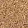 MIYUKI Round Rocailles Beads LS-X-SEED-G009-RR0161-2