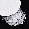 FGB Frosted Transparent Glass Seed Beads SEED-N013-02A-01-1