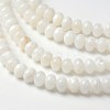 Dyed Natural Freshwater Shell Rondelle Bead Strands BSHE-O016-19D-1